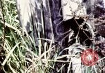 Image of Tet Offensive Saigon Vietnam, 1968, second 45 stock footage video 65675072387