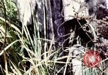 Image of Tet Offensive Saigon Vietnam, 1968, second 46 stock footage video 65675072387