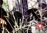 Image of Tet Offensive Saigon Vietnam, 1968, second 47 stock footage video 65675072387