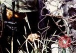 Image of Tet Offensive Saigon Vietnam, 1968, second 49 stock footage video 65675072387