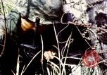 Image of Tet Offensive Saigon Vietnam, 1968, second 50 stock footage video 65675072387