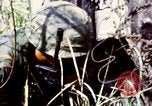Image of Tet Offensive Saigon Vietnam, 1968, second 51 stock footage video 65675072387