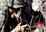 Image of Tet Offensive Saigon Vietnam, 1968, second 53 stock footage video 65675072387