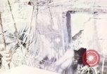 Image of Tet Offensive Saigon Vietnam, 1968, second 55 stock footage video 65675072387
