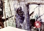 Image of Tet Offensive Saigon Vietnam, 1968, second 56 stock footage video 65675072387