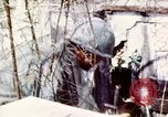 Image of Tet Offensive Saigon Vietnam, 1968, second 57 stock footage video 65675072387