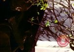 Image of Tet Offensive Saigon Vietnam, 1968, second 18 stock footage video 65675072388