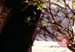 Image of Tet Offensive Saigon Vietnam, 1968, second 19 stock footage video 65675072388