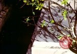 Image of Tet Offensive Saigon Vietnam, 1968, second 20 stock footage video 65675072388