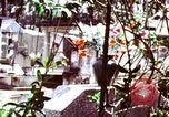 Image of Tet Offensive Saigon Vietnam, 1968, second 22 stock footage video 65675072388