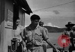 Image of 5th Air Force Port Moresby Papua New Guinea, 1942, second 39 stock footage video 65675072396