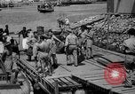 Image of 5th Air Force Port Moresby Papua New Guinea, 1942, second 60 stock footage video 65675072396
