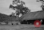 Image of 5th Air Force Pacific Theater, 1942, second 13 stock footage video 65675072397