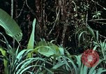 Image of survival techniques Philippines, 1968, second 1 stock footage video 65675072400