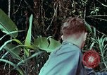 Image of survival techniques Philippines, 1968, second 3 stock footage video 65675072400
