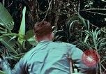 Image of survival techniques Philippines, 1968, second 4 stock footage video 65675072400