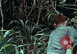 Image of survival techniques Philippines, 1968, second 5 stock footage video 65675072400