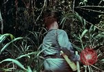 Image of survival techniques Philippines, 1968, second 6 stock footage video 65675072400