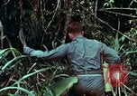 Image of survival techniques Philippines, 1968, second 7 stock footage video 65675072400