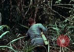 Image of survival techniques Philippines, 1968, second 8 stock footage video 65675072400