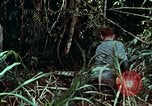 Image of survival techniques Philippines, 1968, second 9 stock footage video 65675072400
