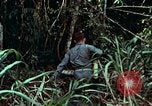 Image of survival techniques Philippines, 1968, second 10 stock footage video 65675072400