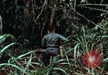 Image of survival techniques Philippines, 1968, second 12 stock footage video 65675072400