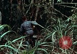Image of survival techniques Philippines, 1968, second 13 stock footage video 65675072400
