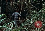 Image of survival techniques Philippines, 1968, second 14 stock footage video 65675072400