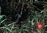 Image of survival techniques Philippines, 1968, second 17 stock footage video 65675072400