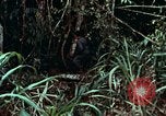 Image of survival techniques Philippines, 1968, second 22 stock footage video 65675072400