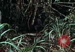 Image of survival techniques Philippines, 1968, second 23 stock footage video 65675072400