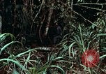 Image of survival techniques Philippines, 1968, second 24 stock footage video 65675072400