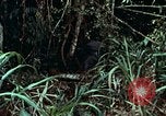 Image of survival techniques Philippines, 1968, second 25 stock footage video 65675072400
