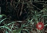 Image of survival techniques Philippines, 1968, second 28 stock footage video 65675072400