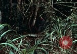 Image of survival techniques Philippines, 1968, second 32 stock footage video 65675072400
