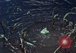 Image of survival techniques Philippines, 1968, second 40 stock footage video 65675072400