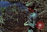 Image of survival techniques Philippines, 1968, second 44 stock footage video 65675072400