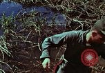 Image of survival techniques Philippines, 1968, second 46 stock footage video 65675072400