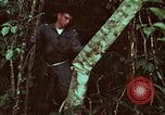Image of survival techniques Philippines, 1968, second 52 stock footage video 65675072400