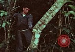 Image of survival techniques Philippines, 1968, second 53 stock footage video 65675072400