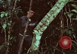 Image of survival techniques Philippines, 1968, second 54 stock footage video 65675072400