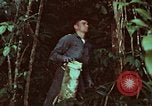 Image of survival techniques Philippines, 1968, second 55 stock footage video 65675072400