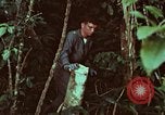 Image of survival techniques Philippines, 1968, second 58 stock footage video 65675072400