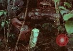 Image of survival techniques Philippines, 1968, second 61 stock footage video 65675072400