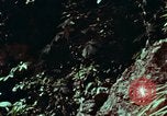 Image of survival techniques Philippines, 1968, second 1 stock footage video 65675072401