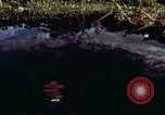Image of survival techniques Philippines, 1968, second 3 stock footage video 65675072401