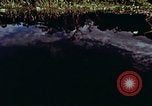 Image of survival techniques Philippines, 1968, second 4 stock footage video 65675072401