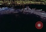 Image of survival techniques Philippines, 1968, second 5 stock footage video 65675072401