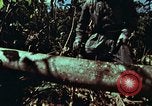 Image of survival techniques Philippines, 1968, second 11 stock footage video 65675072401